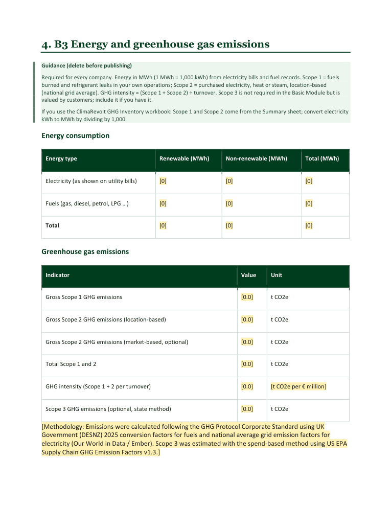 Bundle: GHG Pro Workbook + VSME Report Template