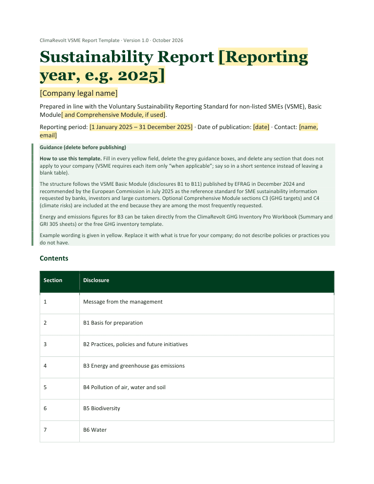 VSME Sustainability Report Template (Word)